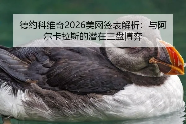 de-yue-ke-wei-qi-mei-wang-qian-biao-jie-xi-yu-a-er-ka-la-si-de-qian-zai-san-pan-bo-yi-2-259.jpg