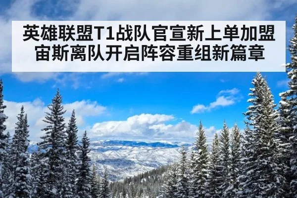 英雄联盟T1战队官宣新上单加盟 宙斯离队开启阵容重组新篇章
