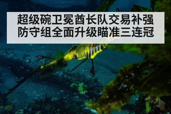 超级碗卫冕酋长队交易补强防守组全面升级瞄准三连冠